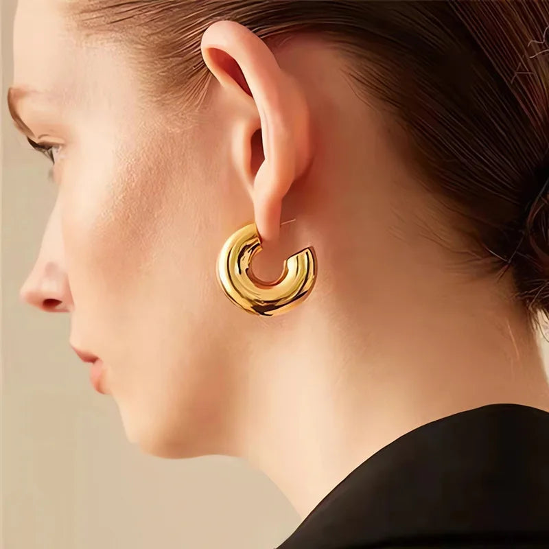 Fashion Chunky C-shape Drop Earrings for Women Geometry Round Circle Dangle Earrings Punk Party Simple Design Jewelry