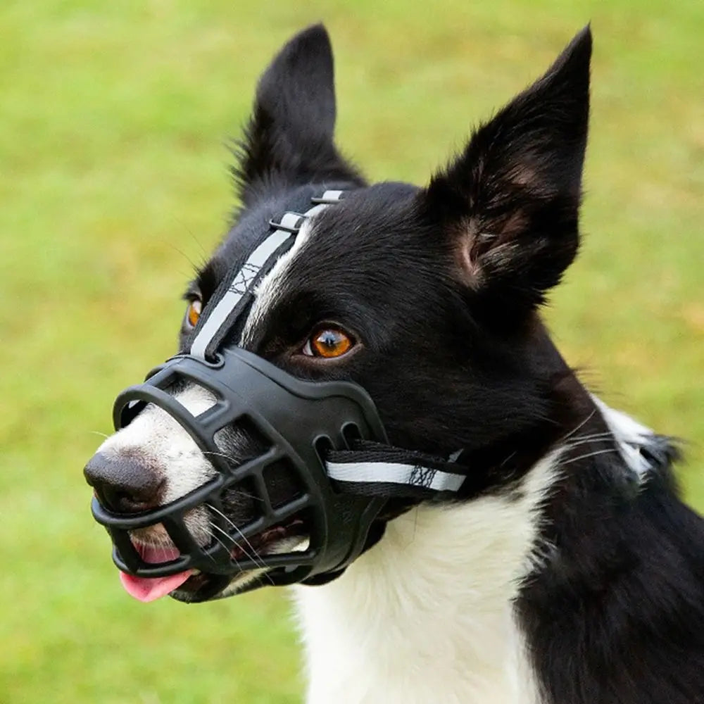 Adjustable Dog Muzzle Anti-Biting Dog Mouth Cover With Reflective Strip Can Drink Water Breathable Plastic